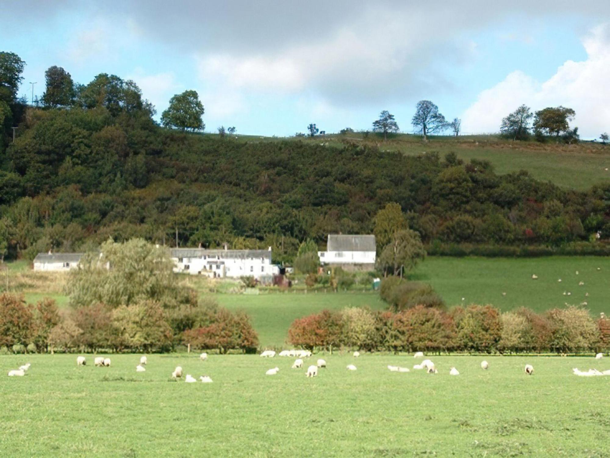Osprey Cottage Bassenthwaite Exterior foto